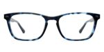 The Casper - Blue Tortoise
