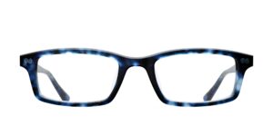 The Cedro - Blue Tortoise