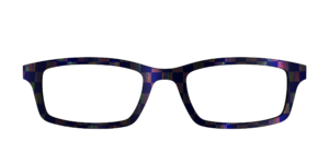The Black Holographic Check