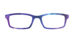The Galaxy