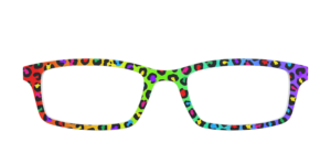 The Rainbow Cheetah