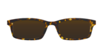 The Polarized Tortoise Sun Top
