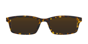 The Polarized Tortoise Sun Top