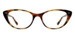 The ella - Tortoise