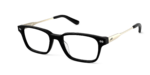 The Finley - Black Acetate Gold Metal