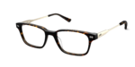 The Finley - Tortoise Acetate Gold Metal