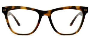 The Harper - Tortoise