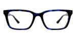 The Larkin - Blue Tortoise