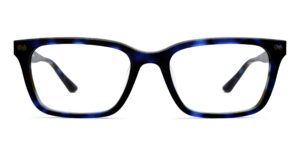 The Larkin - Blue Tortoise