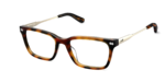 The Larkin - Tortoise Acetate Gold Metal
