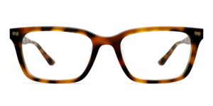 The Larkin - Tortoise