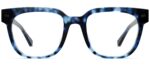 The Murphy - Blue Tortoise