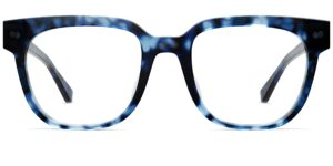 The Murphy - Blue Tortoise