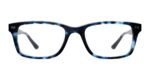 The Otero - Blue Tortoise