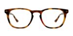The Twain - Tortoise