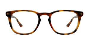 The Twain - Tortoise
