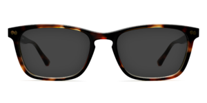 The Casper - Tortoise Sun