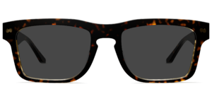 The Drew - Tortoise Sun