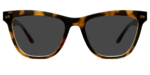 The Harper - Tortoise Sun