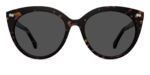 The Zuri - Tortoise Sun