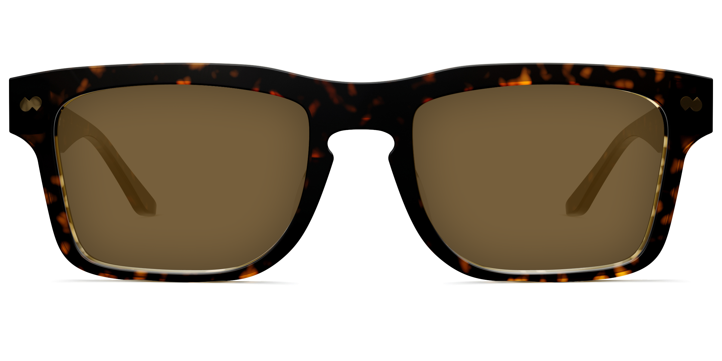 The Drew - Tortoise Sun - Image 2