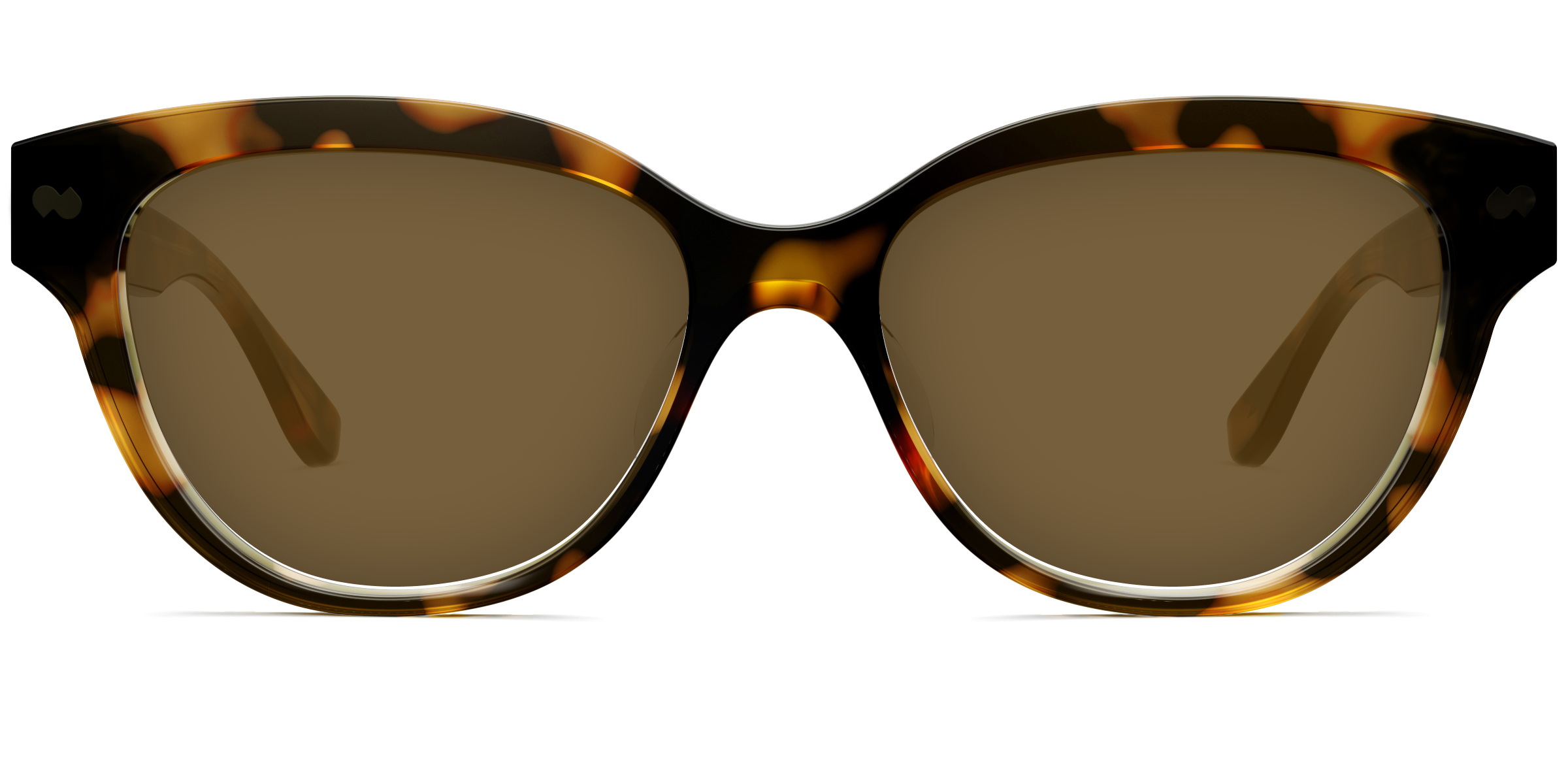 The Quinn - Tortoise Sun - Image 2