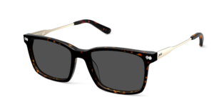 The Kirby - Tortoise Acetate Gold Metal Sun