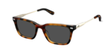 The Larkin - Tortoise Acetate Gold Metal Sun