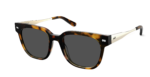 The Murphy - Tortoise Acetate Gold Metal Sun