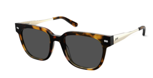 The Murphy - Tortoise Acetate Gold Metal Sun