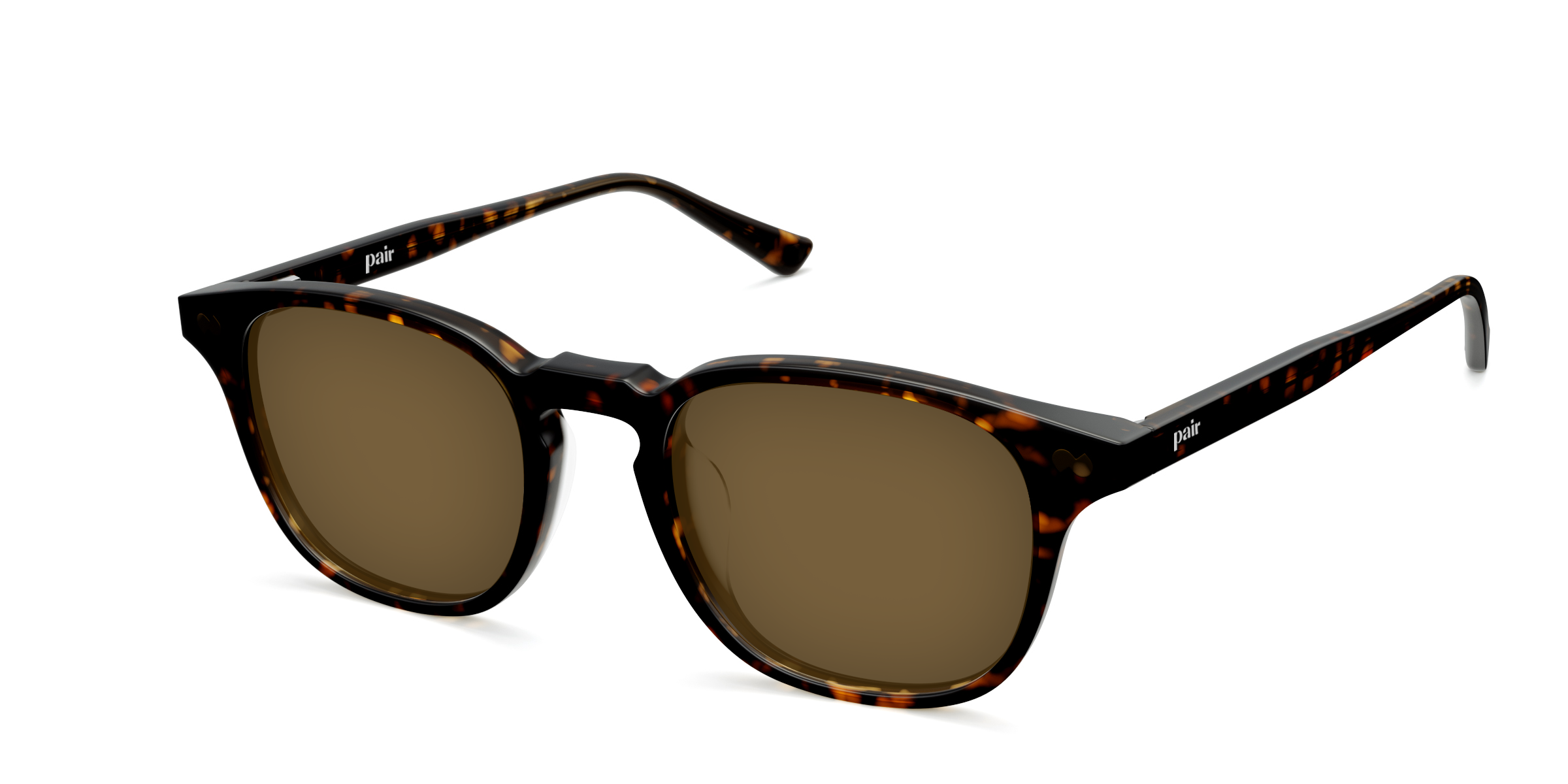 The Otis - Tortoise Sun - Image 4