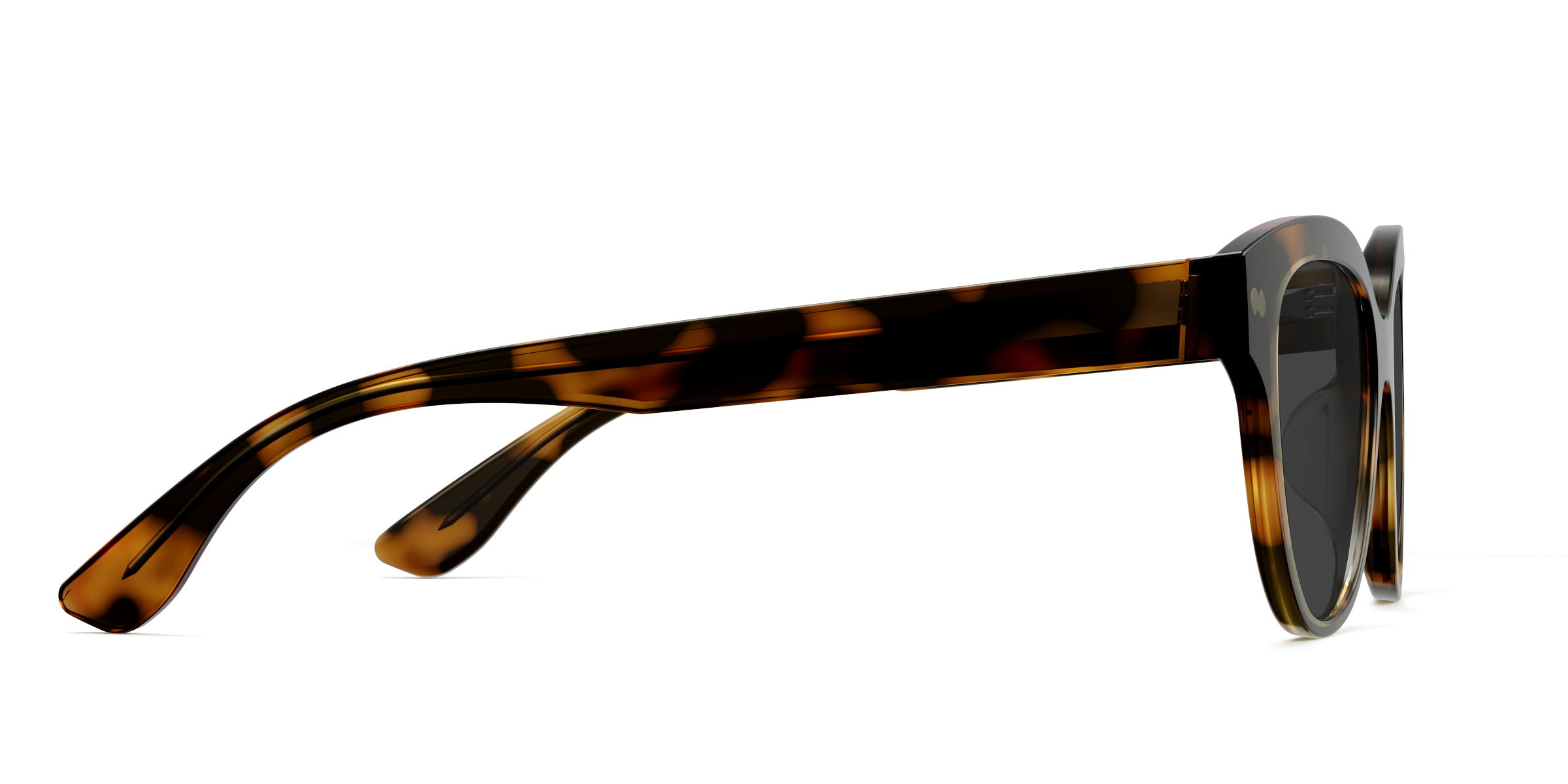 The Quinn - Tortoise Sun - Image 5