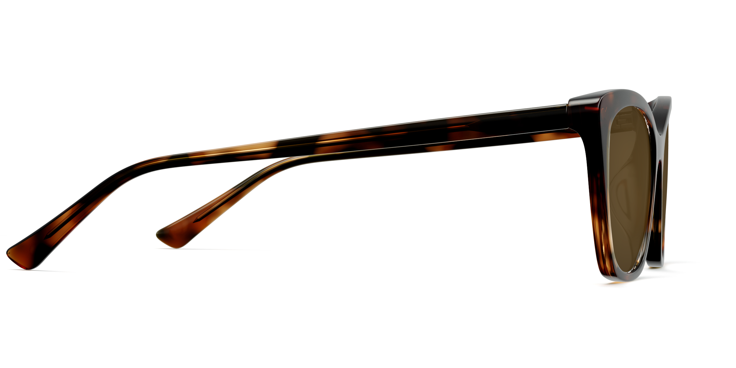 The Wanda - Tortoise Sun - Image 6